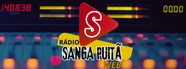 Sanga Puitã Web